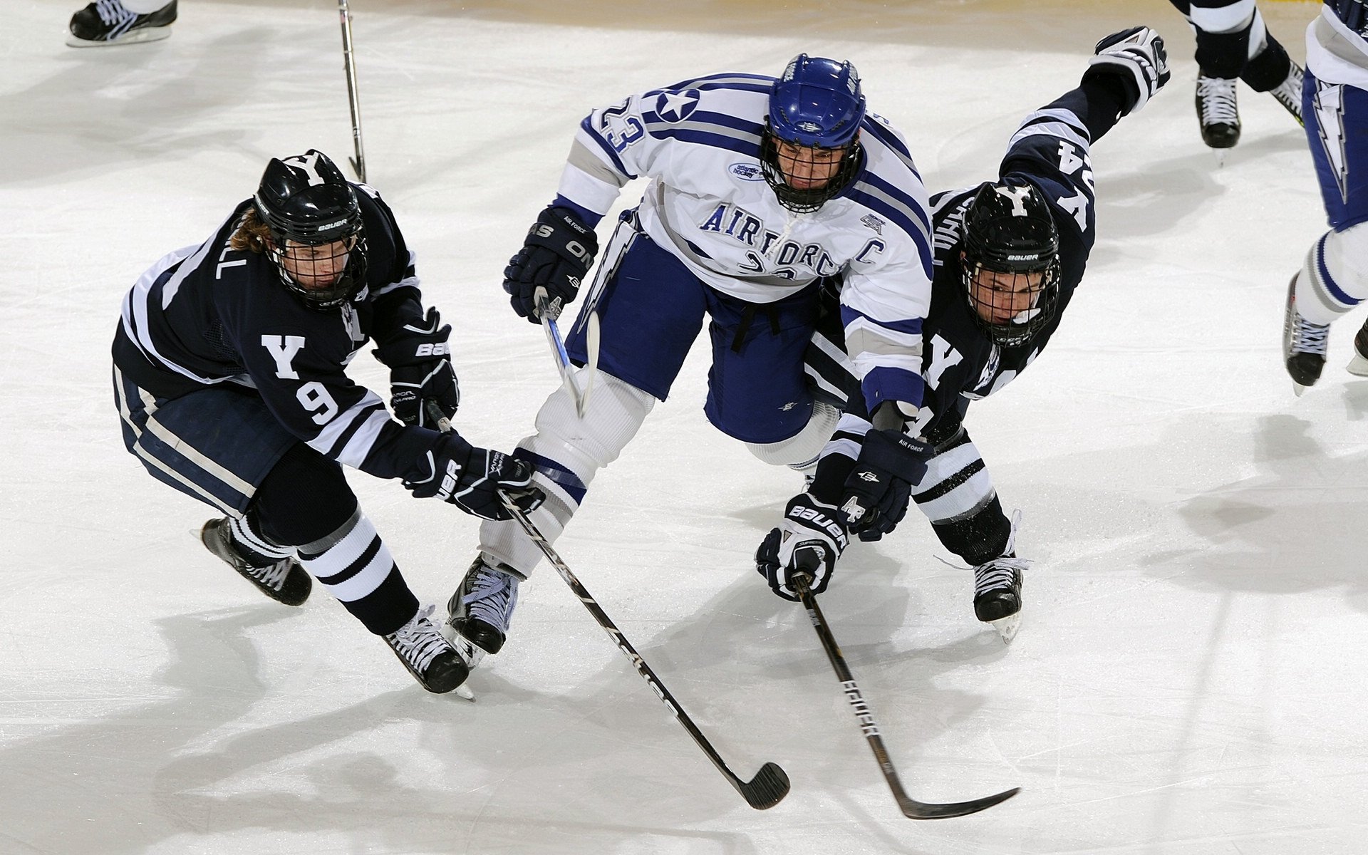 开云投注-新秀掌控全队 氛围焕发 迎接新挑战，新秀队应该起什么口号